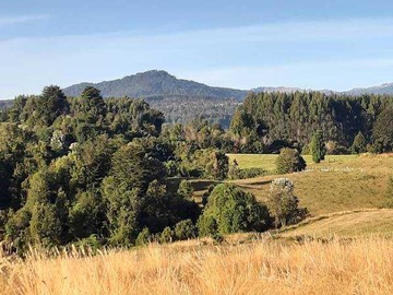 Terreno en venta en Lago puyehue // gran oportunidad (63177), Río Bueno