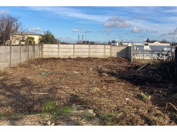 Venta / Terreno / Río Bueno