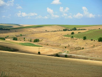 Parcela en venta en Parcela de 1 Ha con Vista a los Cerros