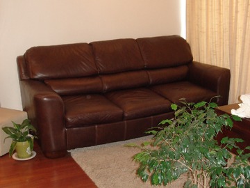 Arriendo Mensual / Departamento / Providencia