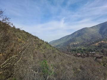 Venta / Parcela / Curacaví