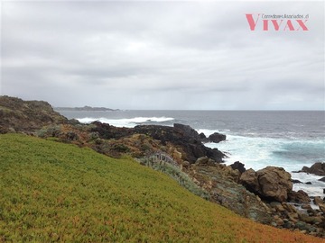 Sitio en venta en Ensenada, Los Vilos