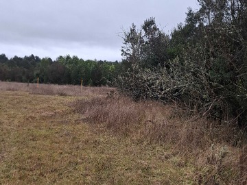 Terreno Agricola en venta en 6.9 Hectareas El Arrayan Rio Bueno (171965), Río Bueno