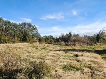 Terreno Agricola en venta en Lliuco, Quemchi