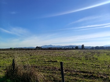 Terreno Agricola en venta en Campo Agrícola 136 Ha en Chillán Fruticultura E Inversión