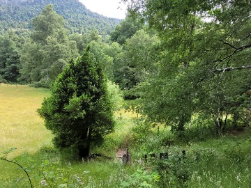 Terreno Agricola en venta en Coilaco, Pucón