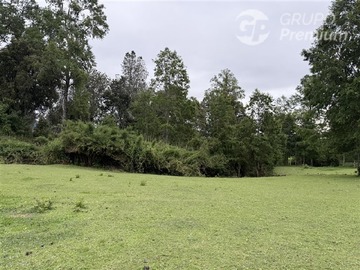 Parcela en venta en Sector Conquil, Villarrica