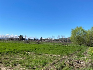 Parcela en venta en Peralillo, Peralillo