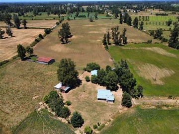Terreno Agricola en venta en 52 hectareas, a 20 kms de Rio Bueno y 1 km de ruta asfaltada T-705, Río Bueno