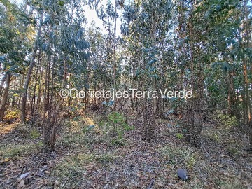 Terreno en venta en Potencial de Desarrollo en Entorno Natural (168555), Angol