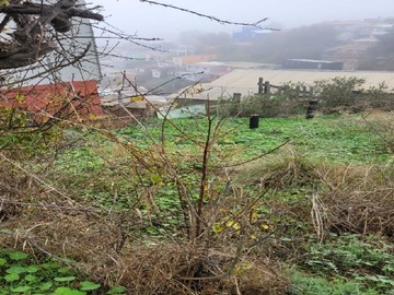 Terreno en venta en Terreno en cerro los placeres, Valparaíso