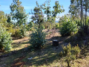 Terreno en venta en Cutipay alto, Valdivia