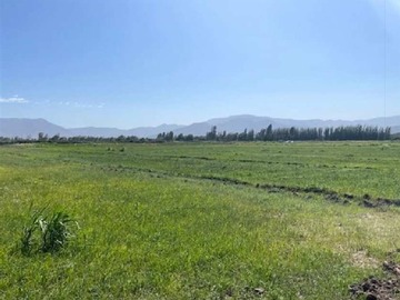 Terreno Agricola en venta en El Taqueral Lampa, Lampa
