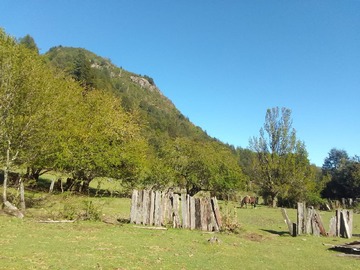 Terreno Agricola en venta en Termas de Río Blanco, Pucón