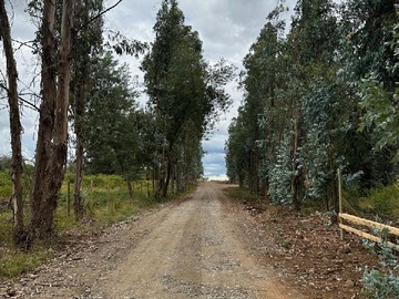 Terreno en venta en Huencuecho Norte 4000, Pelarco