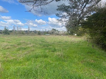 Terreno en venta en Parcelas planas en Rio Bueno (153551), Río Bueno