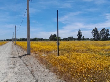 Parcela en venta en Parcelas condominio huertos de mariposa, San Clemente