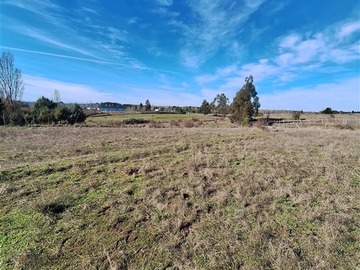Terreno Agricola en arriendo mensual en Sector observatorio, Pantanillo,Laja, Laja