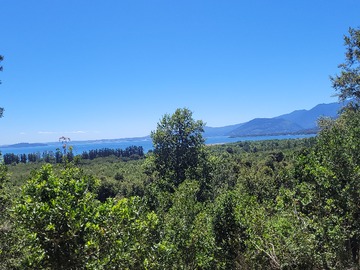 Parcela en venta en Playa el arenal, Lago Ranco