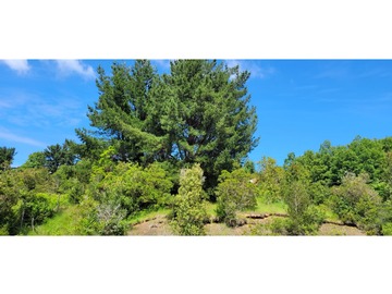 Parcela en venta en Ruta s-979, Pucón