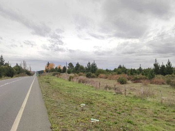 Terreno en arriendo mensual en arriendo para proyectos agricolas (181777), Los Ángeles