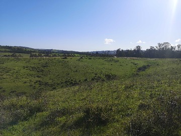 Terreno en venta en Oportunidad, Parcela 5.000 mts a la venta (172255), Paredones