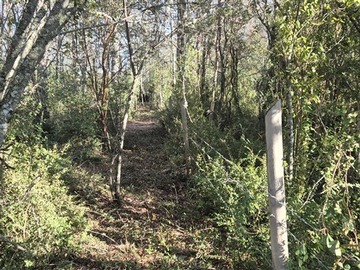 Parcela en venta en Molco Alto, S-855, Villarrica