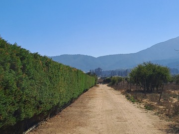 Venta / Parcela / Casablanca