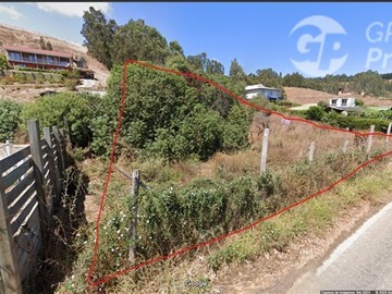 Terreno Agricola en venta en Sexta Región, Navidad