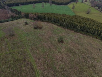 Terreno en venta en 11 hectareas en paillaco cerca de lago ranco (175879), Paillaco