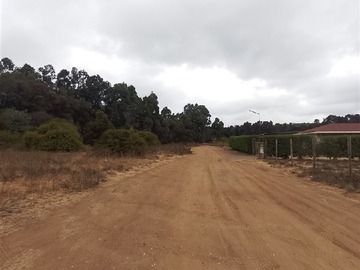 Sitio en venta en Ruta f232 mantagua, Quintero