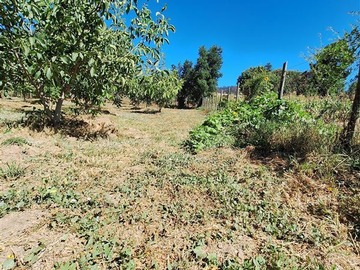 Parcela en venta en Huallarrehue, Comuna Santa Juana, Region del Bio Bio, Santa Juana