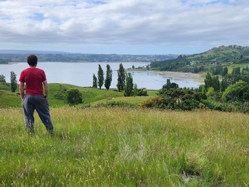 Terreno Agricola en venta en Quento Balneario Castro, Castro