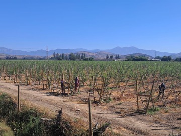 Terreno Agricola en venta en Atencion Inversionistas (166381), Rengo