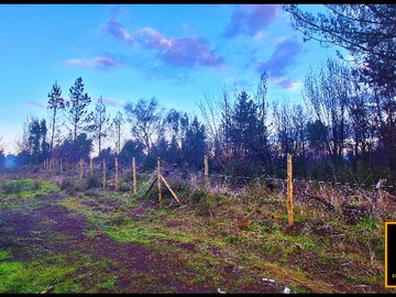 Terreno en venta en Loteo en Curaco; Comuna de Santa Juana (63112), Santa Juana