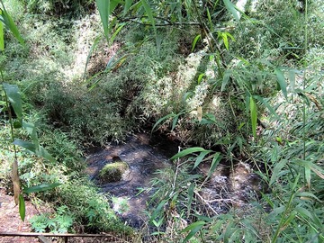 Parcela en venta en km 9,3 camino Villarrica a Pucon, Villarrica
