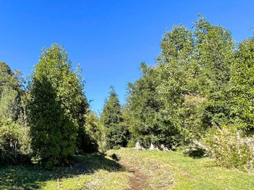 Sitio en venta en Lago ranco, Osorno