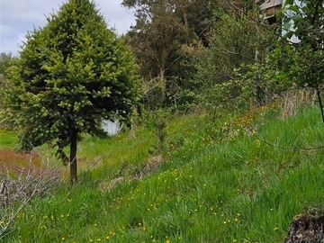 Parcela en venta en Caulin hijuela dos lote 1 d x, Ancud