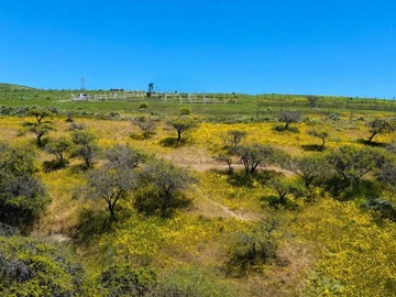 Terreno en venta en Oportunidad: Parcela con Excelente Conectivid (160161), San Antonio