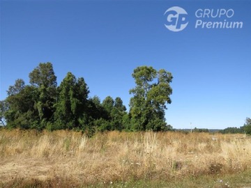 Parcela en venta en Parcela Sector Catemu PC 43 ruta 199, Freire