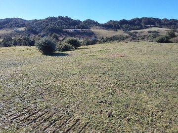 Terreno Agricola en venta en Terreno 2, 5 Hás con Vertiente Curaco de Velez Quinchao