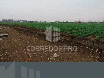 Sitio en venta en Terreno de 83.000 m2 cercano a camino lo echevers con el..., Lampa