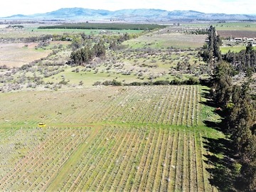 Terreno Agricola en venta en Ruta M-128, Km.13, Camino Cauquenes, Parral, Predio El Macetero., Cauquenes
