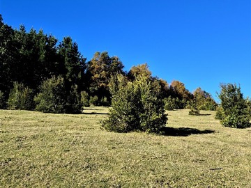Parcela en venta en Parcelas a 12 km del centro de Lanco, Lanco