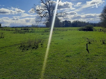 Venta / Sitio / Frutillar