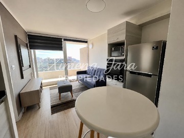 Arriendo Mensual / Departamento / Viña del Mar