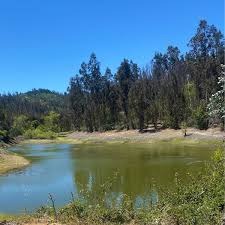 Parcela en venta en Fundo Los Aromos de Tilicura, Vichuquén