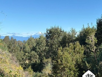 Parcela en venta en Ruta T-985, Río Bueno, Los Ríos 5240000, Chile, Río Bueno