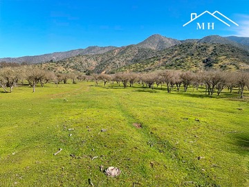 Terreno en venta en Oportunidad Terreno 150 Ha con Aguas Inscritas, Melipilla