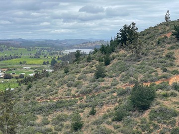Terreno en venta en Venta hermosa parcela en proyecto (125050), Paredones